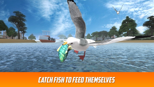 Seagull Bird Survival Simulator 3D(圖2)-速報App