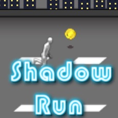 Activities of Shadow Runner:City run