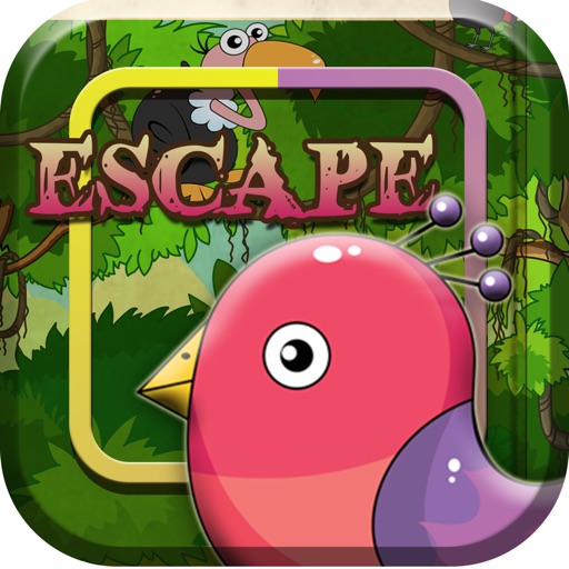 Birds Escape From The Vulture For Flying Animals iOS App