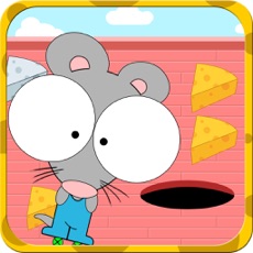Activities of Little mouse cheese eating time mini game - Happy Box