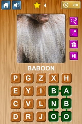 Zoom & Hidden Word - Animals Edition screenshot 4