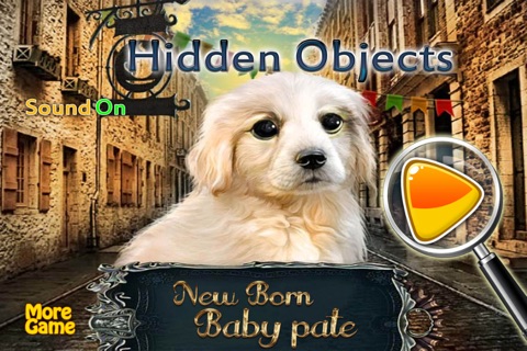 New Born Baby Pet Hidden Objects screenshot 2