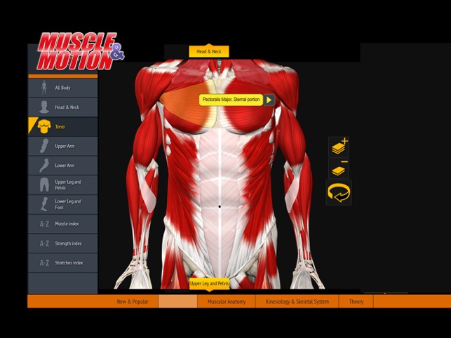 Muscle and Motion Anatomy(圖3)-速報App