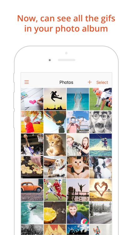 GIF Viewer - Animated GIF Player Album