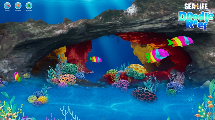 Sea Life Doodle Reef