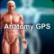 Anatomy GPS,  a Anatomia que você vai usar na sua prática clínica