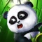 Pandas are one of the most endangered species on our planet, Due to growing Environmental issues, and dangerous animals present in the wild, they need to be protected