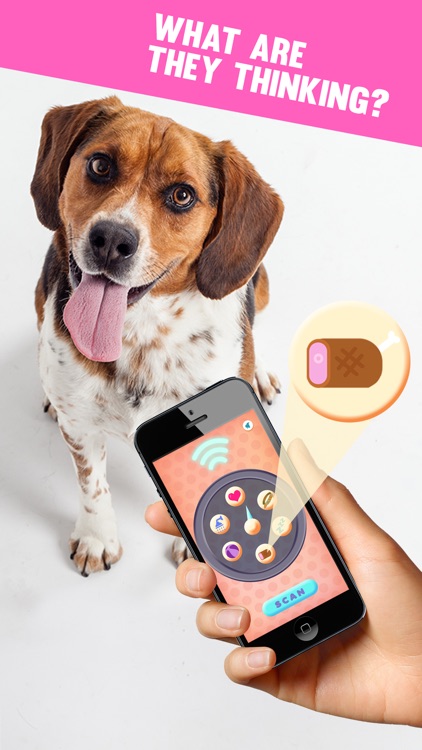 Pet Scanner - Know Their Mood Without Talking