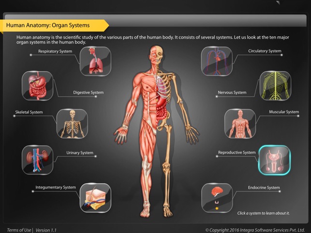 Human Anatomy Explorer - Reproductive System(圖1)-速報App