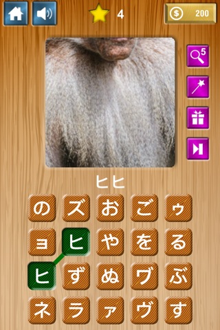 Zoom & Hidden Word - Animals Edition screenshot 4