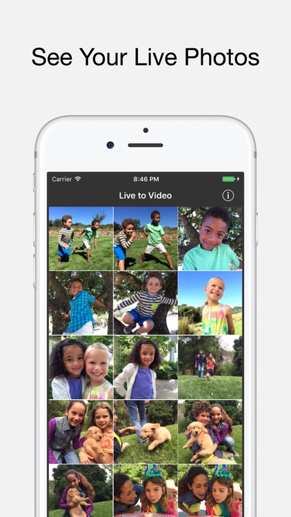 Live to Video: Live Photo for Instagram as Video