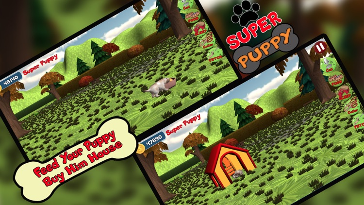 Super Puppy 3D