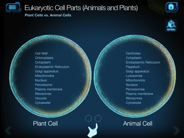 Cell and Cell Structure(圖3)-速報App