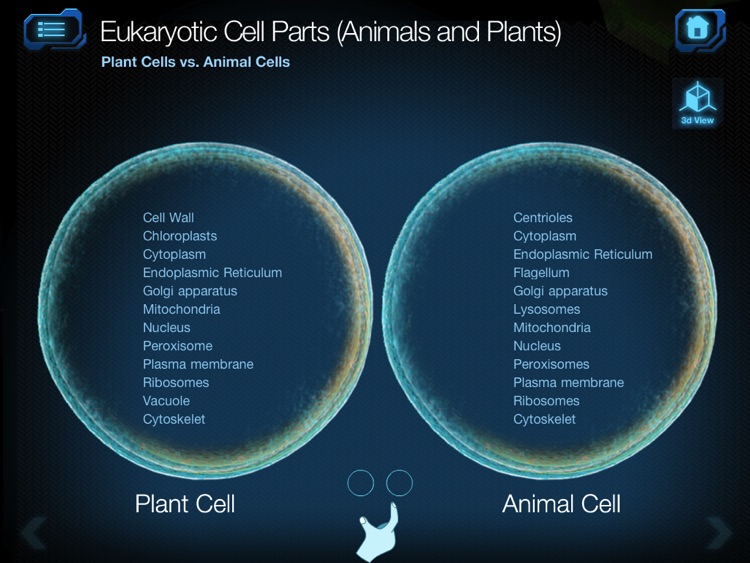 Cell and Cell Structure