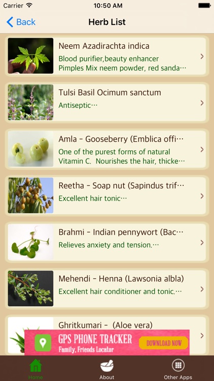 Ayurvedic Remedies - Treatment - Herbs