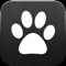 Get your cat’s pads entertained