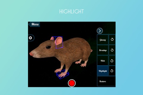 Rat 3D screenshot 3