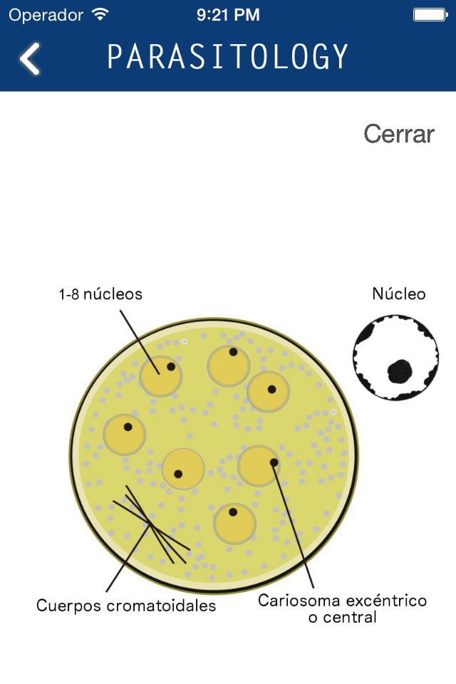 Parasitology screenshot 4