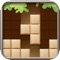 Challenge Block Shape is a wood style block game