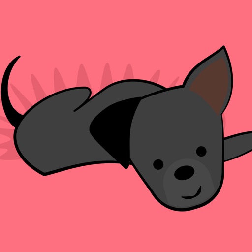 Joijoi