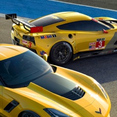 Activities of Race GT 17