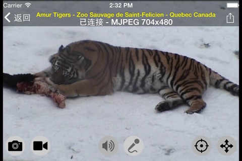 Live Cams Pro screenshot 2