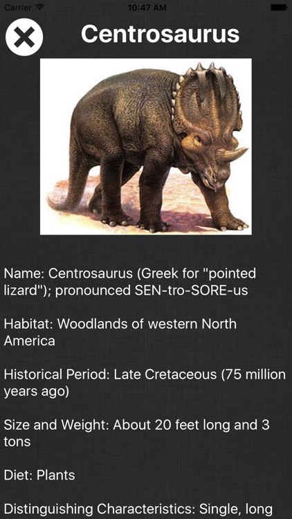Dinosaur Book - All Information About Dino Races