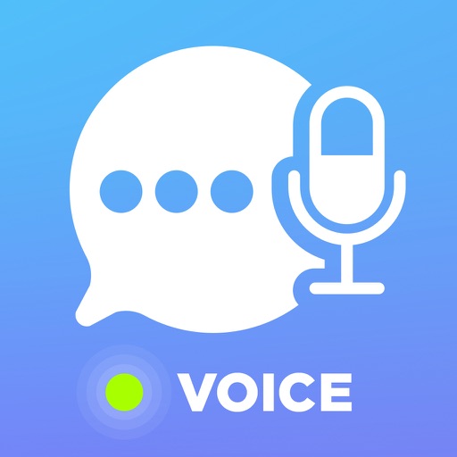 Voice Translator with Offline Dictionary