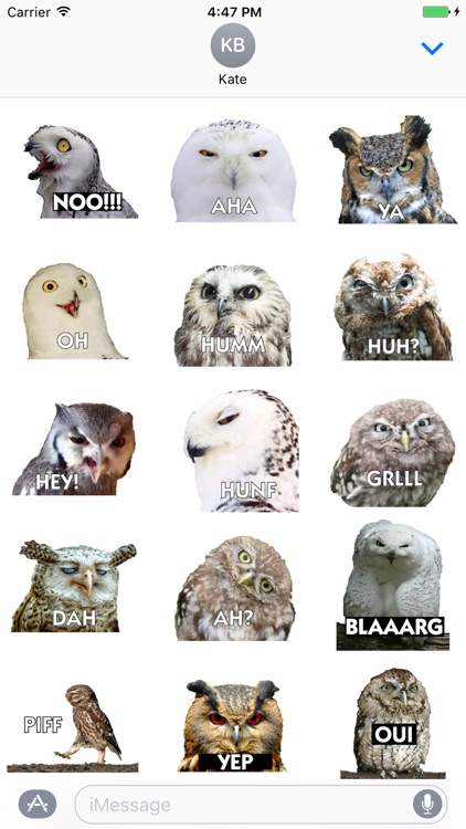 Talking Owl Sticker for iMessage