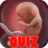 Pregnancy Test Quiz - Utimate Trivia Guide For Expecting Mothers