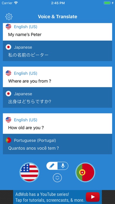 Voice & Translate screenshot 2