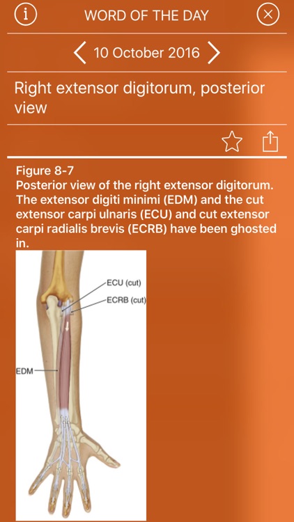 The Muscular System Manual: The Skeletal Muscles screenshot-4
