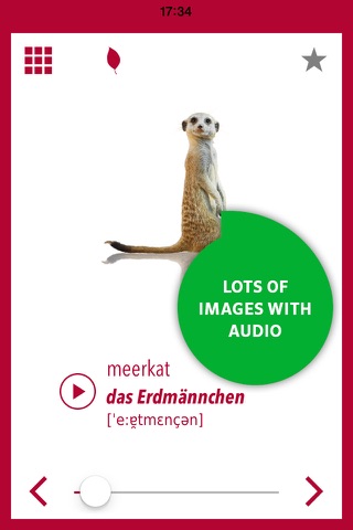 Picture Dictionary German screenshot 4