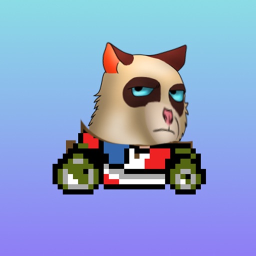 Angry Cat Cart Racing Icon