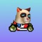 Angry Cat Cart Racing