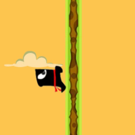 Flip play brave Ninja-pixel Ninja