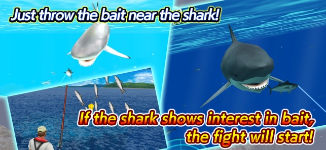 Wild Shark Fishing(圖2)-速報App