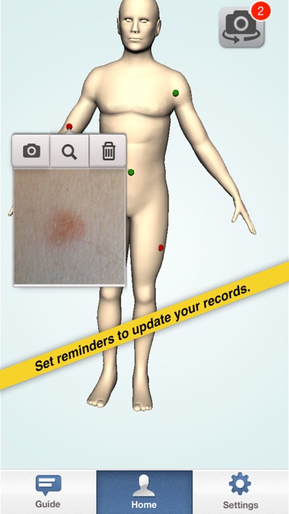 Mole Monitor