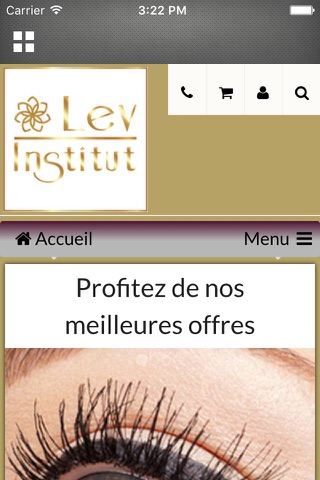 Lev Institut screenshot 4