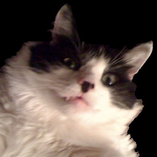 CatDoku - Cat Sudoku