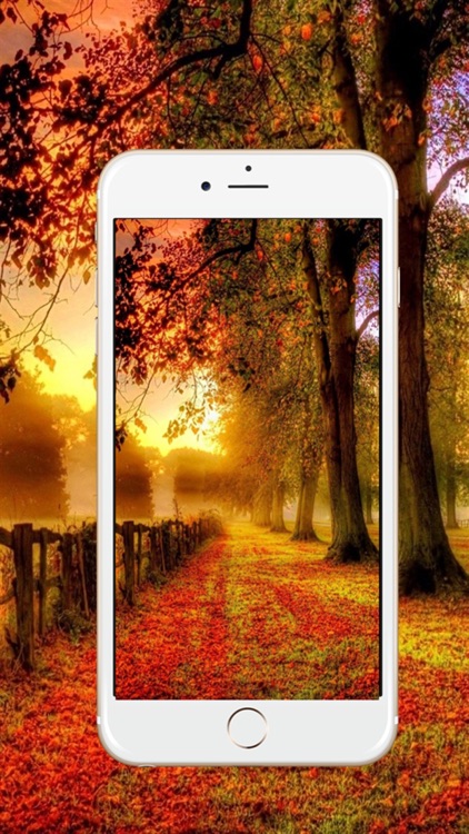 Wallpapers HD-Animated and Dynamic Pictures
