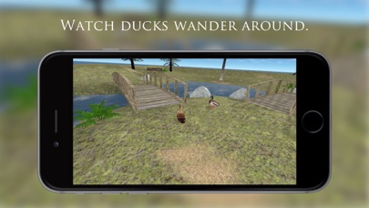 How to cancel & delete Duck Pond VR from iphone & ipad 1