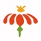 Daily Ayurveda can be helpful for your daily health care administration based on Ayurveda