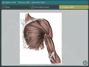 Captura 3 Visual Anatomy 3D | Human iphone