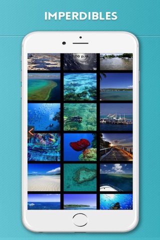 Great Barrier Reef Visitor Guide screenshot 4