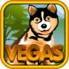 Slots Jungle in Paradise & Vegas Jackpot Casino