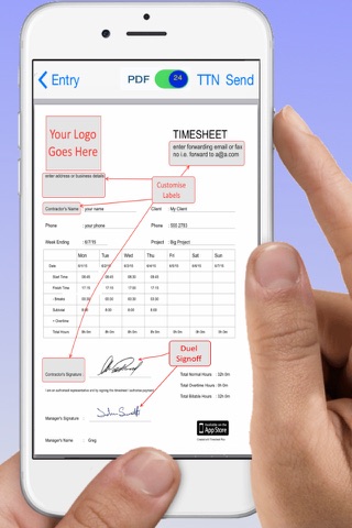 Timesheet PDF screenshot 4