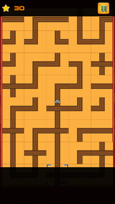 The Mouse Maze Challenge Game Pro screenshot 5