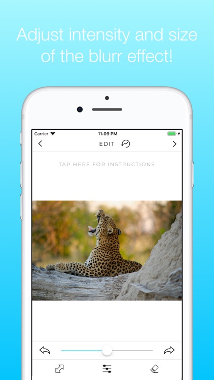 Blurr Background Effect Blurry