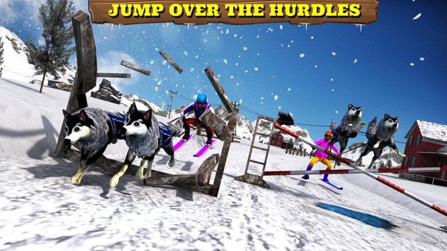 Sled Dog Racing 2017(圖4)-速報App